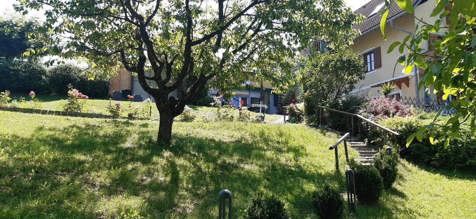 Ferienwohnungen Soravia Gamlitz Dış mekan fotoğraf
